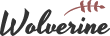 MLP Construction - 